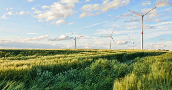 Economic Benefits of Implementing Sustainable Solutions - How to Leverage Digital Solutions for an Improved Sustainability